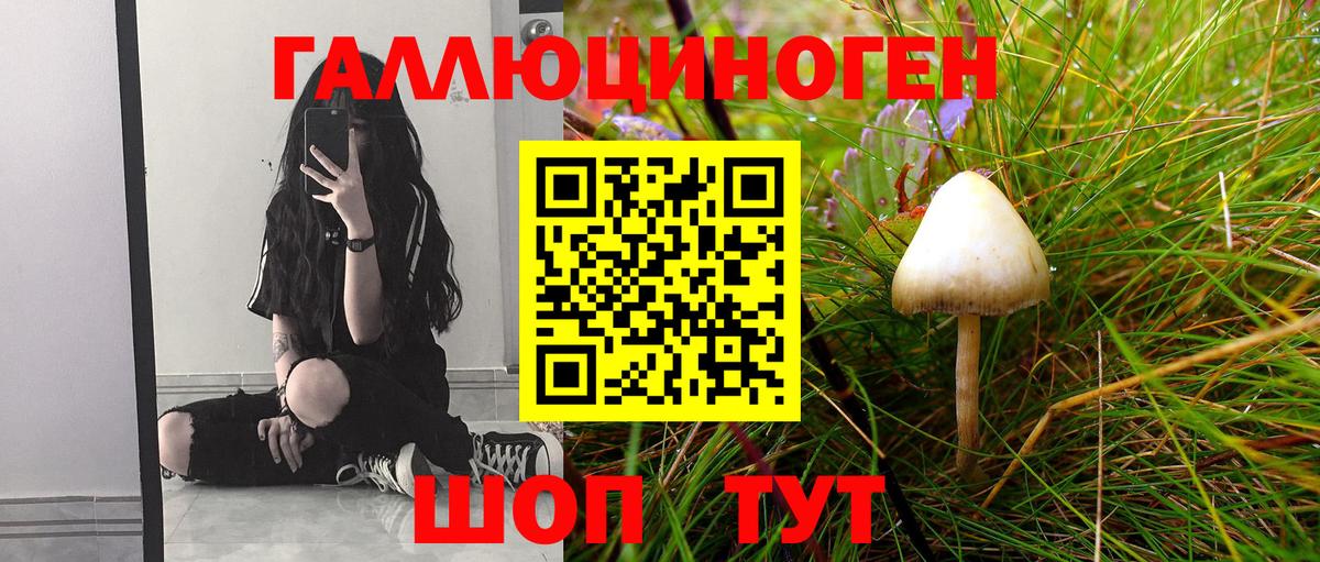 Псилоцибиновые грибы Cubensis  Вход с VPN  где купить наркоту  Кировск 
